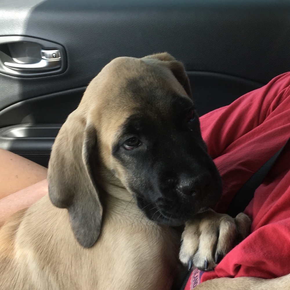 Meet your Posher, Leslie